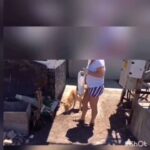 Zeynep Kankonde Instagram - Yeni bestem şırdancı Bedo Ve ve ve en minnoş usta, sokak hayvanlarının abisi... @emrah_polatt56 @sirdancibedo
