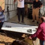 Zeynep Kankonde Instagram - "Bizi Allah burda yarattı" diyor ve konuyu kapatıyor abimiz... Kozan Kızlarsekisi mevkiinde yangından zarar gören hayvanlar @meyako_rescue tarafından bölgeden kurtarıldı. Tedavileri devam etmektedir. Bir çok hayvanın acil tedaviye ihtiyacı var. Yardımlarınız için dernekle iletişime geçebilirsiniz...