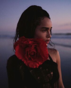 Zoë Kravitz Thumbnail - 886.1K Likes - Most Liked Instagram Photos