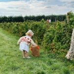 Zoe Sugg Instagram – August moments ✨ 

I fell a little off the bandwagon of sharing snaps here throughout August as we were filming everyday over on YouTube (there’s a highlight on my profile if you want to catch up with any of these days) 

1. Fruit picking with the family (which is much harder to do with a toddler than I anticipated, keeping any berries we managed to find in the carton was near impossible 🫣) 
2. Ottie wearing it as a hat because putting berries in it was clearly not what it’s main purpose was… 🤣 
3. Tractor ride around the fields
4. Nanny @traceysugg birthday and the cake we baked (Ottie still talks about the fact we made this together which is too cute) 
5. A night away just the two of us to @beaverbrook which was just what we needed 🥰
6. The breakfast of my absolute dreams. That bacon is just 👌 
7. The most beautiful bath (went into proper stealth mode getting in and out so as not to flash unsuspecting guests walking past below)🫣 
8. Bump cuddles! Ottie has become super cuddly recently and I’m loving it. 
9. A little outfit of the day that Mark snapped of me 
10. Otties first princess dress that she was absolutely besotted with!