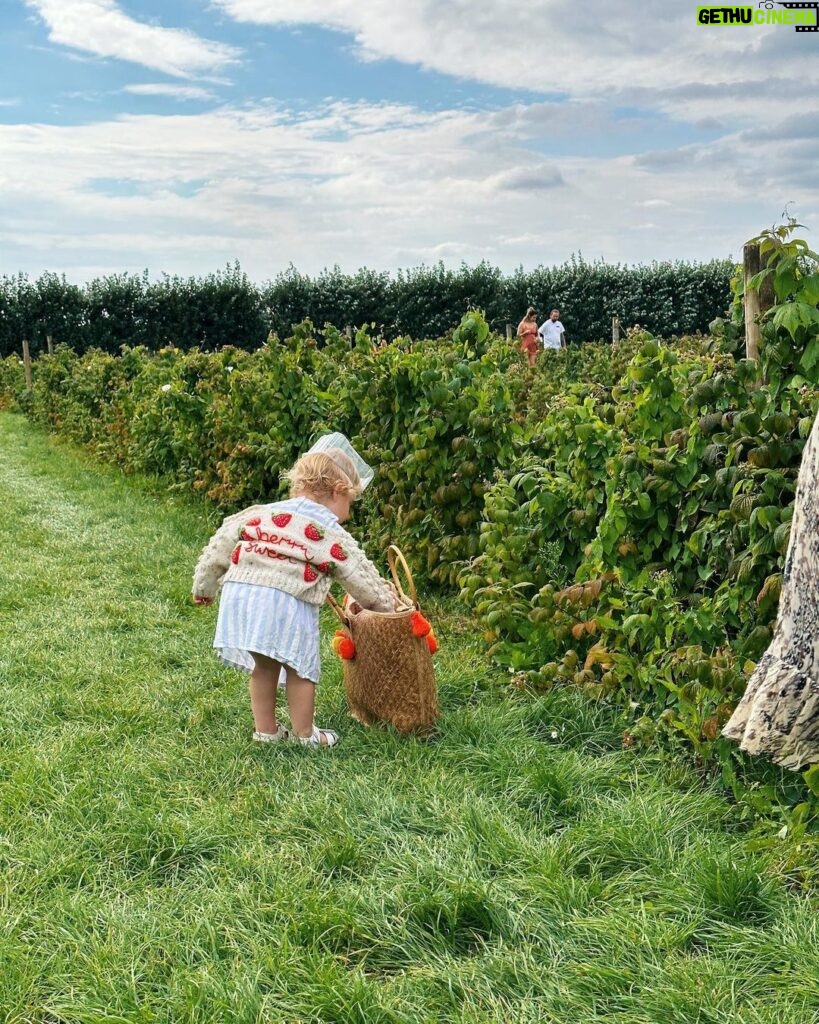 Zoe Sugg Instagram - August moments ✨ I fell a little off the bandwagon of sharing snaps here throughout August as we were filming everyday over on YouTube (there’s a highlight on my profile if you want to catch up with any of these days) 1. Fruit picking with the family (which is much harder to do with a toddler than I anticipated, keeping any berries we managed to find in the carton was near impossible 🫣) 2. Ottie wearing it as a hat because putting berries in it was clearly not what it’s main purpose was… 🤣 3. Tractor ride around the fields 4. Nanny @traceysugg birthday and the cake we baked (Ottie still talks about the fact we made this together which is too cute) 5. A night away just the two of us to @beaverbrook which was just what we needed 🥰 6. The breakfast of my absolute dreams. That bacon is just 👌 7. The most beautiful bath (went into proper stealth mode getting in and out so as not to flash unsuspecting guests walking past below)🫣 8. Bump cuddles! Ottie has become super cuddly recently and I’m loving it. 9. A little outfit of the day that Mark snapped of me 10. Otties first princess dress that she was absolutely besotted with!