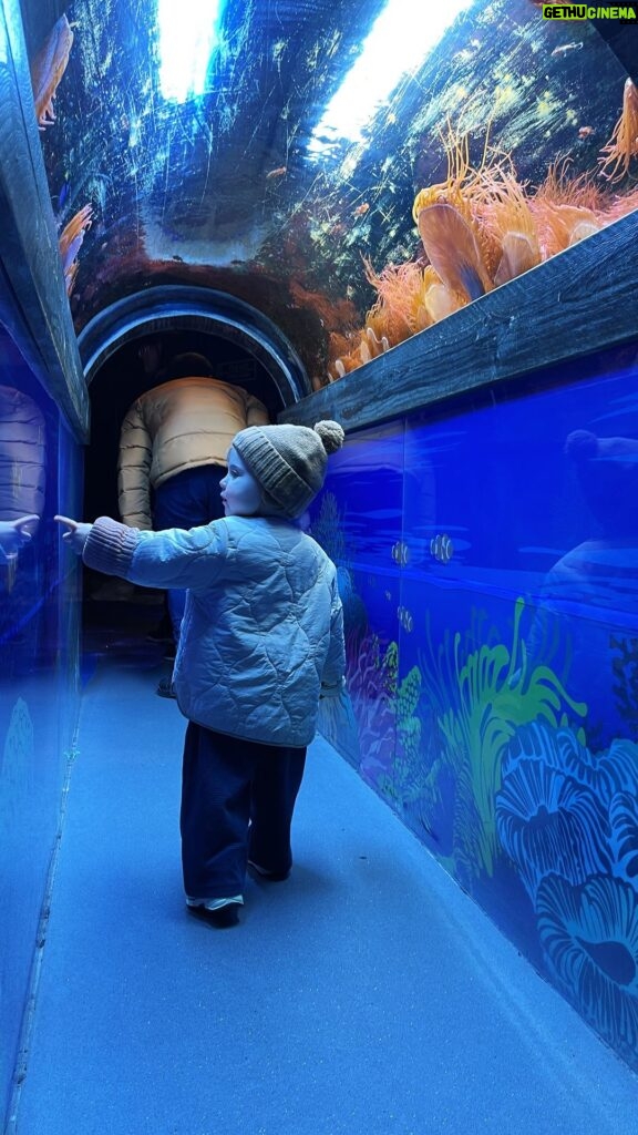 Zoe Sugg Instagram - Rainy days at the aquarium! 🐠 We’ve had so many wet and rainy days so far this month so we’re really trying to stretch the imagination & do things that don’t require getting soaked outside! We visited the sealife Center at the weekend and Ottie absolutely LOVED it. Her favourite thing being sitting on every available seat/bench that she could 😂 What are your rainy day go-to’s because I feel like I’m running out of ideas FAST 😅