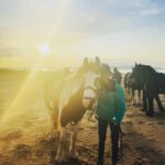 Zoie Palmer Instagram – Thank-you to @crindlestables for a most incredible day on  a sunset horseback riding trek along the beach 🇮🇪 And a big thank-you to “Captain” the horse, who took very good care of this novice rider. Donegal, Ireland