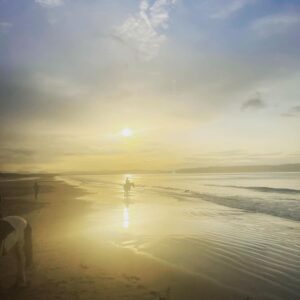 Zoie Palmer Instagram - Thank-you to @crindlestables for a most incredible day on  a sunset horseback riding trek along the beach 🇮🇪 And a big thank-you to “Captain” the horse, who took very good care of this novice rider.