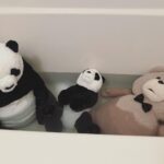 asmi Instagram - お風呂入ったね🛁☀️🌕🌏