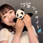 asmi Instagram - ご挨拶回り編17ヶ所目 東京・汐留シオサイト🌊完💮 森ノ宮の方が気温高かったし今日は日陰やのに、汗の量がすんごくて涙みたいに目に染みて困った！昨日マグマ風呂入ったせいかな？(´༎ຶོρ༎ຶོ`)💦笑 みんなも絶対暑すぎたと思う😢…ありがとう😢！！ 汗と戦いながら第一部を終えて１時間弱の休憩があったわけですが、汗を沢山かいたせいか珍しくパワー切れしちゃって、めげそうになりました🫠でもそんなときに一部で出会ったみんなのことを思い出した🥺純粋にみんなに会いたい気持ちだけが湧いてきた🥺 この気持ちがあればやれると思った🥹 あとは、上京してた友だちが一部に来てくれたのも大きかった👯‍♂️ 無事、ニ部でもみんなに伝えたいこと伝えられてよかった！ 私はやっぱり1人では絶対生きられない！ でもそれでいいと思う！ひとりは寂しすぎるし！ だいすきな人たちと生きていく🙆🏼 だからここに今居る人たち ずっと居てほしいし、私もずっと居させてもらえるようにがんばっていく！ このツアー、今日が本州ラストでした！サイン会に来れるのは今日が最後って言ってた人沢山いた！ぜんぶぜんぶ噛み締めた！ 本当は友だちになりたいのにそうもいかないのはかなぴい。 でもファンクラブイベントとかでまたこの距離で会えることずっとずっとやっていけそうやんとも思った！わくわくしたよ！！ 残すは北海道！出会い尽くす！！！ よろしくお願いします🍼