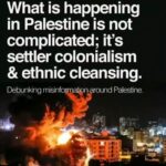 Aïcha Ben Ahmed Instagram - #freepalestine #palestinianlivesmatter