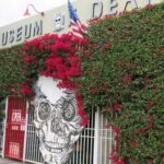 Aakriti Rana Instagram - Man I’ve never spent so much time in a museum ever. I love watching serial killers documentaries and movies and there was everything about that here! The museum of death is definitely not for the faint hearted. Tag someone who would love this. ☠️ #aakritirana #creepy #losangeles #travelblogger #indiantravelblogger #horrormovies #serialkiller #scary #creepy #horrorstories #reelsinstagram #museumofdeath