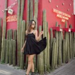 Aakriti Rana Instagram - Hello Mexico City! From the little colourful town of Guanajuato to the metropolitan Mexico City! Getting here from Guanajuato wasn’t easy. The flights and cabs were too expensive, renting a car and dropping it to another city was at an extra cost and the only other option was to take all our luggage and get to a bus station. Bdw I read online that buses also aren’t safe. Gangs stop the buses and rob you. With all our luggage, we decided to pay extra and take a cab. It literally broke down in the middle of nowhere and then it started to get dark. He refused to get it fixed and said we have to pay the money. Mexico isn’t safe during night as such spots. There are numerous cases of crimes and it started giving me anxiety. There was no network (translator app didn’t work) and nobody could understand English. I played dumb charades with a bus conductor and got us on a bus which eventually left us in the Mexico City. Lost a lot of money and still trying to retrieve it from the cab guys who abandoned us by using a translator app 🤣 Anyway, Can you guess where we are going next? [ Aakriti Rana, Travel blogger, Mexico, Mexico City, Indian Travel Blogger, Aditya Rana, Family Trip, Story Time, Scam, Adventure] Mexico City, Mexico