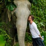 Aaron Paul Instagram - It breaks my heart that our president wants to allow this beautiful country, filled with incredible people, to be able to kill these creatures and have them shipped back into the states. We can't let this happen. Please sign the endless amount of petitions going around at the moment to put a stop to what he is trying to do. It's insane. Also, donate if you can to whatever elephant sanctuary you can find. We need to protect these special beings. Also, head to my story to see how @mybyta is helping out with protecting these beauties. Lots of love.❤️