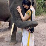 Adah Sharma Instagram - #TheKeralaStory is out on Zee 5 !! Tag me on stories on your best scene, scenes that made you cry, scenes that changed you ❤️