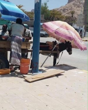 Ahmed Salah ElSaadany Instagram - الرحمه ❤️