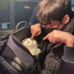 Ahn Jae-hyun Instagram -
