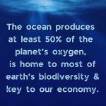 Aidan Gallagher Instagram - Happy #WorldOceansDay 🌊 @unep Toronto, Ontario