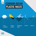 Aidan Gallagher Instagram - A healthy ocean benefits everyone & helps achieve the #GlobalGoals. Join me and the @UN and #ActNow to #SaveOurOcean: https://www.un.org/sustainabledevelopment/5-actions-you-can-take-to-saveourocean/ @unitednations, @unep Seattle, Washington