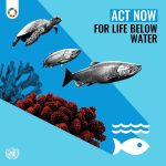 Aidan Gallagher Instagram - A healthy ocean benefits everyone & helps achieve the #GlobalGoals. Join me and the @UN and #ActNow to #SaveOurOcean: https://www.un.org/sustainabledevelopment/5-actions-you-can-take-to-saveourocean/ @unitednations, @unep Seattle, Washington