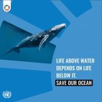 Aidan Gallagher Instagram - A healthy ocean benefits everyone & helps achieve the #GlobalGoals. Join me and the @UN and #ActNow to #SaveOurOcean: https://www.un.org/sustainabledevelopment/5-actions-you-can-take-to-saveourocean/ @unitednations, @unep Seattle, Washington
