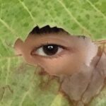 Aimyon Instagram - いえーい