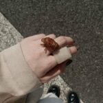 Aimyon Instagram - ニュー アクセ