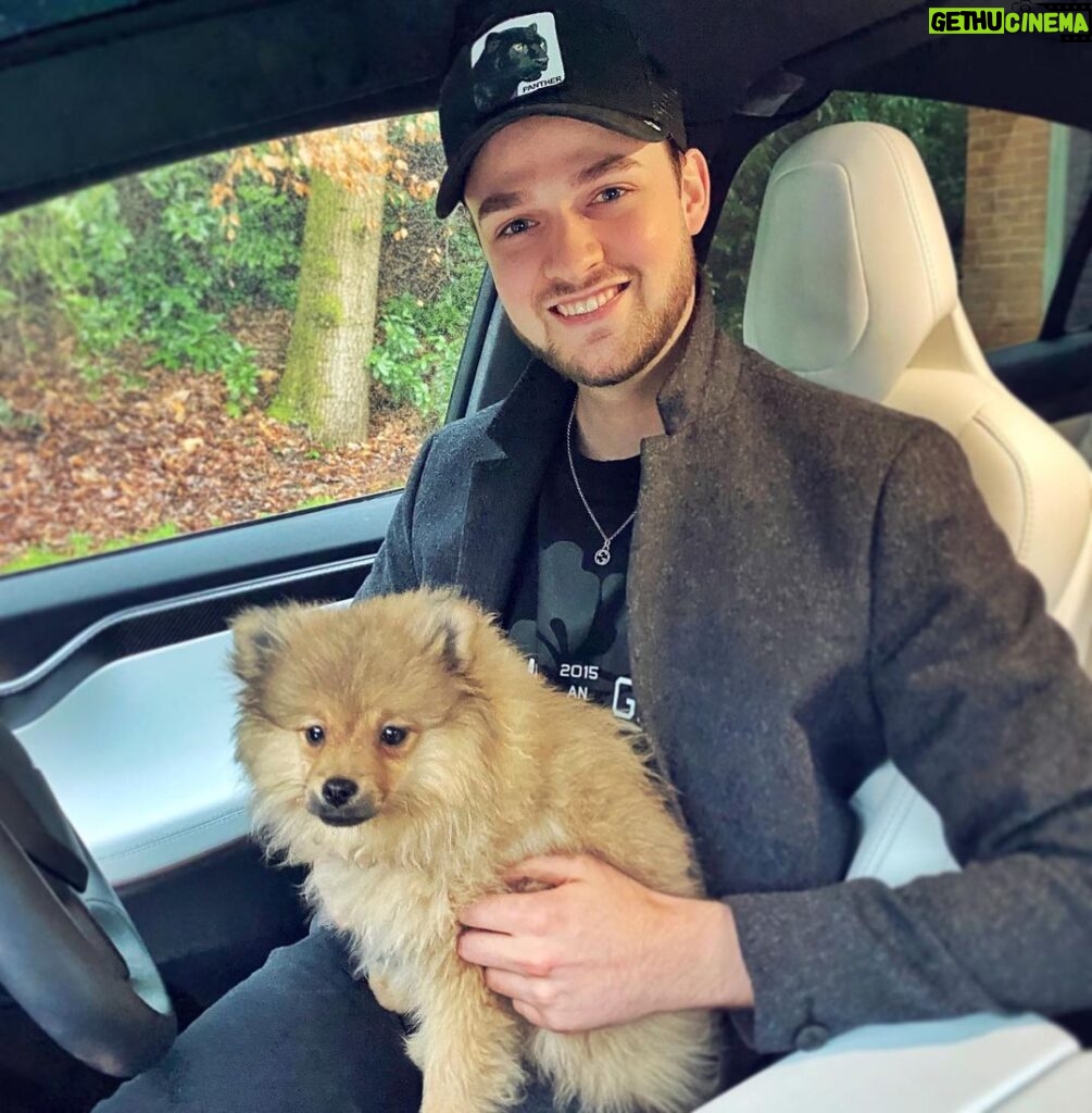 Alastair Aiken Instagram - AD I 🐶 With @spotifyuk Pets Playlist we can keep the dogs relaxed whenever we’re driving! 🚗 Spotify's pet playlist generator makes a playlist for your pet based on their personality! Head over to my stories to make yours now! #SpotifyPets