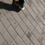 Aleksandr Shpak Instagram - А в кремле празднуют по беду путину
