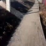 Aleksandr Shpak Instagram - Подробнее все в телеграм. Ссылка в сторис. Сюда не все можно выложить. Это Белгородская прямо сейчас. Выборы президента начинаются