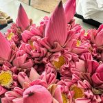 Alessandra Ambrosio Instagram - Heavenly… @amansara_angkor 🪷💫