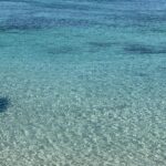 Alessandra Fuller Instagram - Agua salada 🦋✨