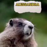 Alessandra Negrini Instagram - Alessandraaaaa 🙃