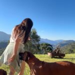 Alessandra Negrini Instagram - Pé no chão, cachorros, sol! Tava precisando muito!