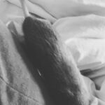 Alessandra Negrini Instagram - Eu não tenho muita paciência, as vezes eu acho tudo um pouco chato. Tenha uma boa noite e não leve tão a sério, é meu espírito gótico querendo brincar!