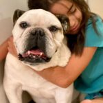 Alessandra Rosaldo Instagram - Con profunda tristeza y dolor, hoy despedimos a nuestra muy amada Fiona. Fuimos muy bendecidos de tenerla con nosotros durante 11 años y de llenar nuestros corazones de recuerdos, anécdotas, aventuras y memorias a su lado. No hay palabras que puedan expresar la inmensa pena que nos invade y el hueco que ha quedado en nuestras vidas. Estamos devastados. Fiona fue la más maravillosa, amorosa y fiel compañera, hija y hermana que pudimos haber tenido. Te amamos con toda el alma Fiona y te extrañaremos eternamente. Gracias por darnos tanto amor, tanta dicha, tanta felicidad. Papá, mamá y Aitana.