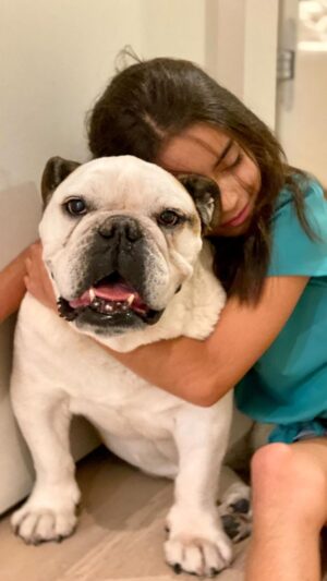 Alessandra Rosaldo Instagram - Con profunda tristeza y dolor, hoy despedimos a nuestra muy amada Fiona. Fuimos muy bendecidos de tenerla con nosotros durante 11 años y de llenar nuestros corazones de recuerdos, anécdotas, aventuras y memorias a su lado. No hay palabras que puedan expresar la inmensa pena que nos invade y el hueco que ha quedado en nuestras vidas. Estamos devastados. Fiona fue la más maravillosa, amorosa y fiel compañera, hija y hermana que pudimos haber tenido. Te amamos con toda el alma Fiona y te extrañaremos eternamente. Gracias por darnos tanto amor, tanta dicha, tanta felicidad. 

Papá, mamá y Aitana.