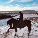 Alexander Dreymon Instagram - Meet Uhtred’s new battle stallion “Pedro”. Pedro enjoys moonlit strolls in the park, has a sweet tooth and loves to get pampered. Just like Uhtred he’s a foodie and can be a little temperamental at times. His hobbies include Latin music and tap-dancing. In relationships he prides himself on being a good listener and enjoys getting ridden long and hard.