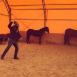 Alexander Dreymon Instagram - Training break with my friend (and Uhtred’s awesome stunt double) Tamás Katrics @katrix.horse #CatchAnUhtred #thelastkingdom #netflix #stunts #horsebackriding