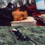 Alexander Dreymon Instagram - #tenyearchallenge 2009: office temp - 2019: warlord Same job requirements. #noimprovement #theoffice