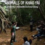 Alexander Rendell Instagram - 🌳🐘🐒 Another memorable adventure with a group of young explorers discovering the animals of Khao Yai during the day and night. Mission completed ✅ — 🌳🐘🐒 อีกหนึ่งการผจญภัยที่น่าจดจำของกลุ่มนักสำรวจรุ่นเยาว์ที่ได้ค้นพบสัตว์ป่าหลายชนิดที่เขาใหญ่ ทั้งตอนกลางวันและตอนกลางคืน นับเป็นอีกหนึ่งภารกิจที่ประสบความสำเร็จ✅ #eecthailand #letnaturebeourclassroom