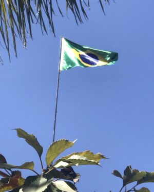 Alexandre Garcia Instagram - A brisa da Semana da Pátria faz tremular a Bandeira. Está o ano inteiro acima de minha casa, e nesta semana parece brilhar ainda mais.