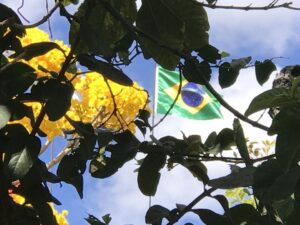 Alexandre Garcia Instagram - Bandeira nova, para a Semana da Pátria.
