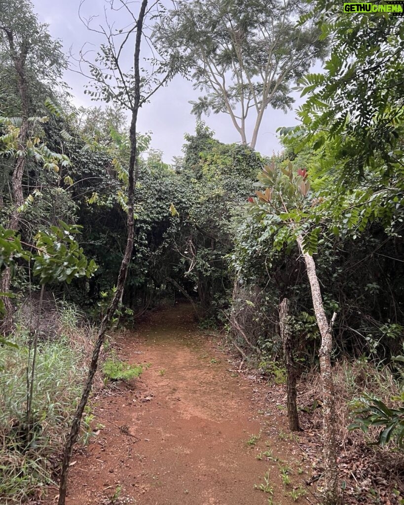 Alexandre Garcia Instagram - Minha trilha neste fim de tarde. Depois de uma semana “entrevado”, decidi movimentar a lombar fazendo 3 km no piso irregular. Amanhã ao levantar saberei o resultado…