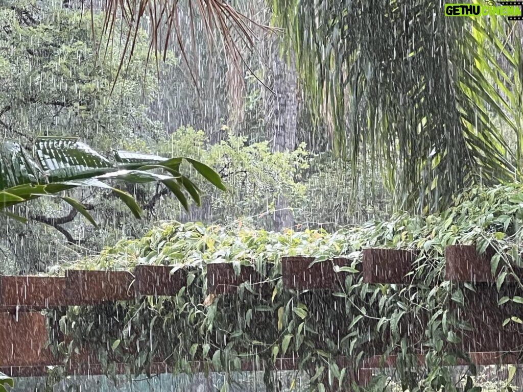 Alexandre Garcia Instagram - Sol e chuva na tarde quente do domingo brasiliense.