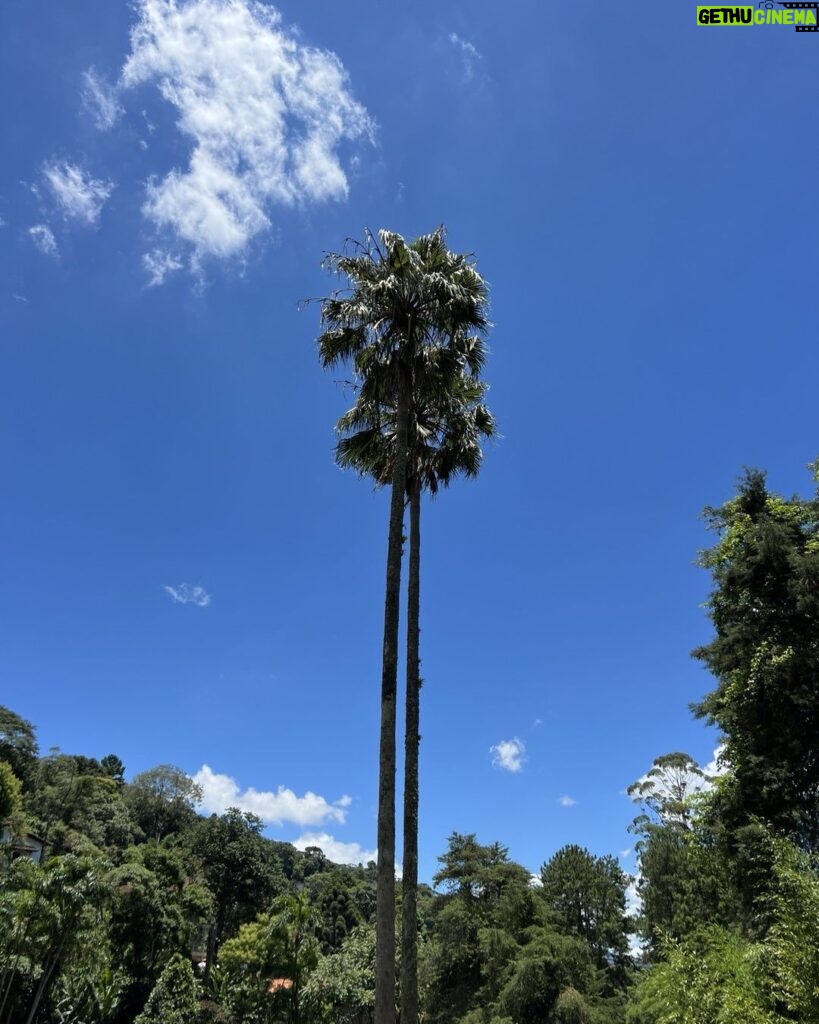 Alexandre Garcia Instagram - Céu e terra em Teresópolis, nesta manhã de sexta-feira.