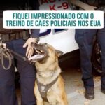 Alexandre Rossi Instagram - Você já viu cães policiais em ação? Lá nos EUA, eu tive a oportunidade de ver como funciona o treinamento e o momento da ação desses cães treinados pra proteção. E achei superlegal a maneira como os cães são “acionados” pra ir pra ação e toda a estrutura e tecnologia envolvida pra garantir o bem-estar deles. Vem saber mais no meu podcast lá no meu canal do YouTube. : #alexandrerossi #drpet #comportamentoanimal #cachorrodetrabalho #caopolicial