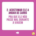 Alexandre Rossi Instagram - Quem me acompanha por aqui viu que nesse final de semana fui viajar com o @barthooficial e o Bruno. E muita gente adorou acompanhar nossa viagem e também perguntou como treinar o pet pra viajar junto. Por isso, hoje trouxe 3 dicas de como você pode preparar seu pet pra viajar com você e se comportar. Vem conferir! E pra saber mais sobre como educar seu pet, vem ser meu aluno no curso “Método Adestramento Inteligente”. O link está na bio. : #alexandrerossi #drpet #viagemcompet #comportamentoanimal #adestramentointeligente