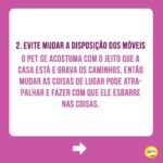 Alexandre Rossi Instagram - Seu pet é cego ou está ficando idoso e perdendo a visão? Muitos tutores ficam preocupados com a perda de visão do pet e não sabem o que fazer pra ajudar. Pensando nisso, hoje trouxe 5 dicas pra você ajudar seu pet que é cego ou já se prevenir caso seu pet seja idoso e possa perder a visão. Vem conferir e já me conta como é aí na sua casa e se tem um pet cego ou idoso! : #alexandrerossi #drpet #cachorrocego #cegueirapet #gatocego #saudeanimal