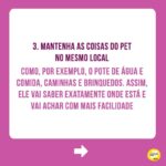 Alexandre Rossi Instagram – Seu pet é cego ou está ficando idoso e perdendo a visão?

Muitos tutores ficam preocupados com a perda de visão do pet e não sabem o que fazer pra ajudar. Pensando nisso, hoje trouxe 5 dicas pra você ajudar seu pet que é cego ou já se prevenir caso seu pet seja idoso e possa perder a visão. 

Vem conferir e já me conta como é aí na sua casa e se tem um pet cego ou idoso!
:
#alexandrerossi #drpet #cachorrocego #cegueirapet #gatocego #saudeanimal