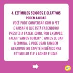 Alexandre Rossi Instagram - Seu pet é cego ou está ficando idoso e perdendo a visão? Muitos tutores ficam preocupados com a perda de visão do pet e não sabem o que fazer pra ajudar. Pensando nisso, hoje trouxe 5 dicas pra você ajudar seu pet que é cego ou já se prevenir caso seu pet seja idoso e possa perder a visão. Vem conferir e já me conta como é aí na sua casa e se tem um pet cego ou idoso! : #alexandrerossi #drpet #cachorrocego #cegueirapet #gatocego #saudeanimal