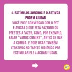 Alexandre Rossi Instagram – Seu pet é cego ou está ficando idoso e perdendo a visão?

Muitos tutores ficam preocupados com a perda de visão do pet e não sabem o que fazer pra ajudar. Pensando nisso, hoje trouxe 5 dicas pra você ajudar seu pet que é cego ou já se prevenir caso seu pet seja idoso e possa perder a visão. 

Vem conferir e já me conta como é aí na sua casa e se tem um pet cego ou idoso!
:
#alexandrerossi #drpet #cachorrocego #cegueirapet #gatocego #saudeanimal