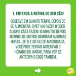 Alexandre Rossi Instagram - Estamos sempre falando sobre o treino para XIXI no lugar certo, mas como fica o cocô? Essa foi uma das perguntas que recebi nos comentários do post sobre xixi. A verdade é que: não existe um treino específico para cocô no lugar! Pois é, vou explicar… Ao recompensarmos o xixi no lugar certo, reforçando aquele local como banheirinho, após um tempo o cão naturalmente vai passar a fazer cocô ali também! Por isso se fala tanto do treino de XIXI. Mas é claro que podemos tentar alguns ajustes para facilitar esse treino do cocô também. Por isso, hoje trouxe algumas dicas! Notem que é o mesmo treino do xixi, adaptado para o cocô, rs! Ah, pegar um cocô e colocar em cima do tapetinho não vai fazer com que o pet aprenda, ok? Pode atrapalhar, porque talvez ele nem queira fazer cocô ali se já estiver sujo! 👇E aí, como está esse treino aí na sua casa? : #alexandrerossi #drpet #adestramentointeligente #dogs #comportamentocanino #comportamentoanimal #treinodexixiparacaes #cocoforadolugar