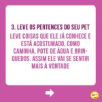 Alexandre Rossi Instagram - O Carnaval está chegando e me conta: está planejando uma viagem com seu pet? Alguns pontos são essenciais para garantir o conforto e segurança do seu animal. Eu viajo sempre que posso com os pets e o bem-estar deles é sempre a minha prioridade. Por isso, vim contar pra vocês algumas dicas importantes pra garantir uma viagem segura! ➡ Quer aprender a acostumar seu pet com a caixa de transporte e outras formas de mantê-lo seguro em passeios e viagens? Vem ser meu aluno no meu curso de filhotes ou de cães adultos. Link na bio! Te espero nas aulas 😉 : #drpet #alexandrerossi #comportamentoanimal #estopinha #viagemcompets